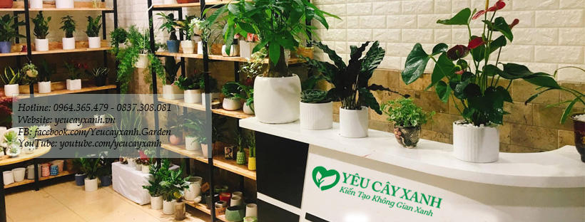 banner-yeu-cay-xanh-cay-canh-van-phong